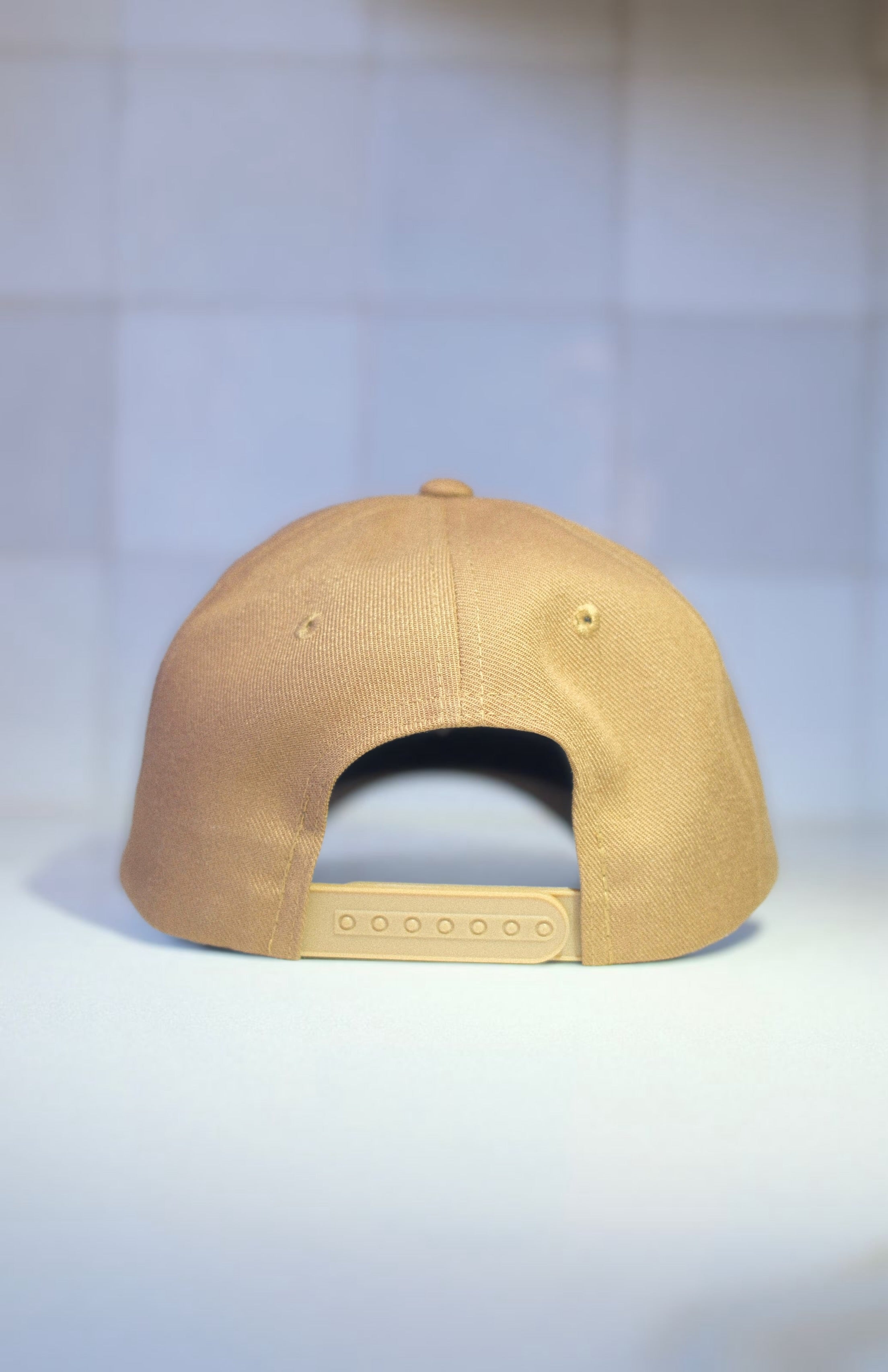 Dream Labs cap