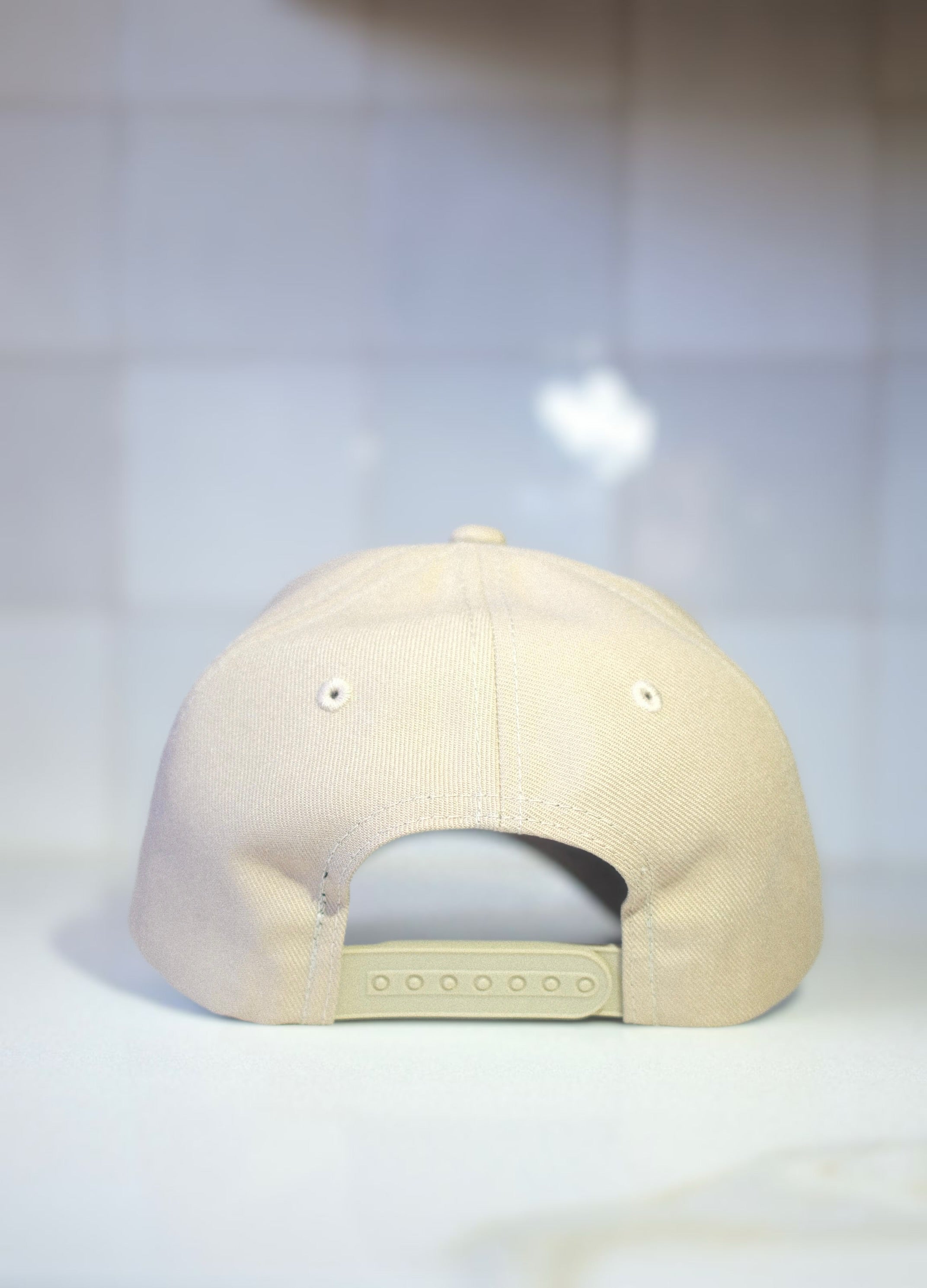 Dream Labs cap