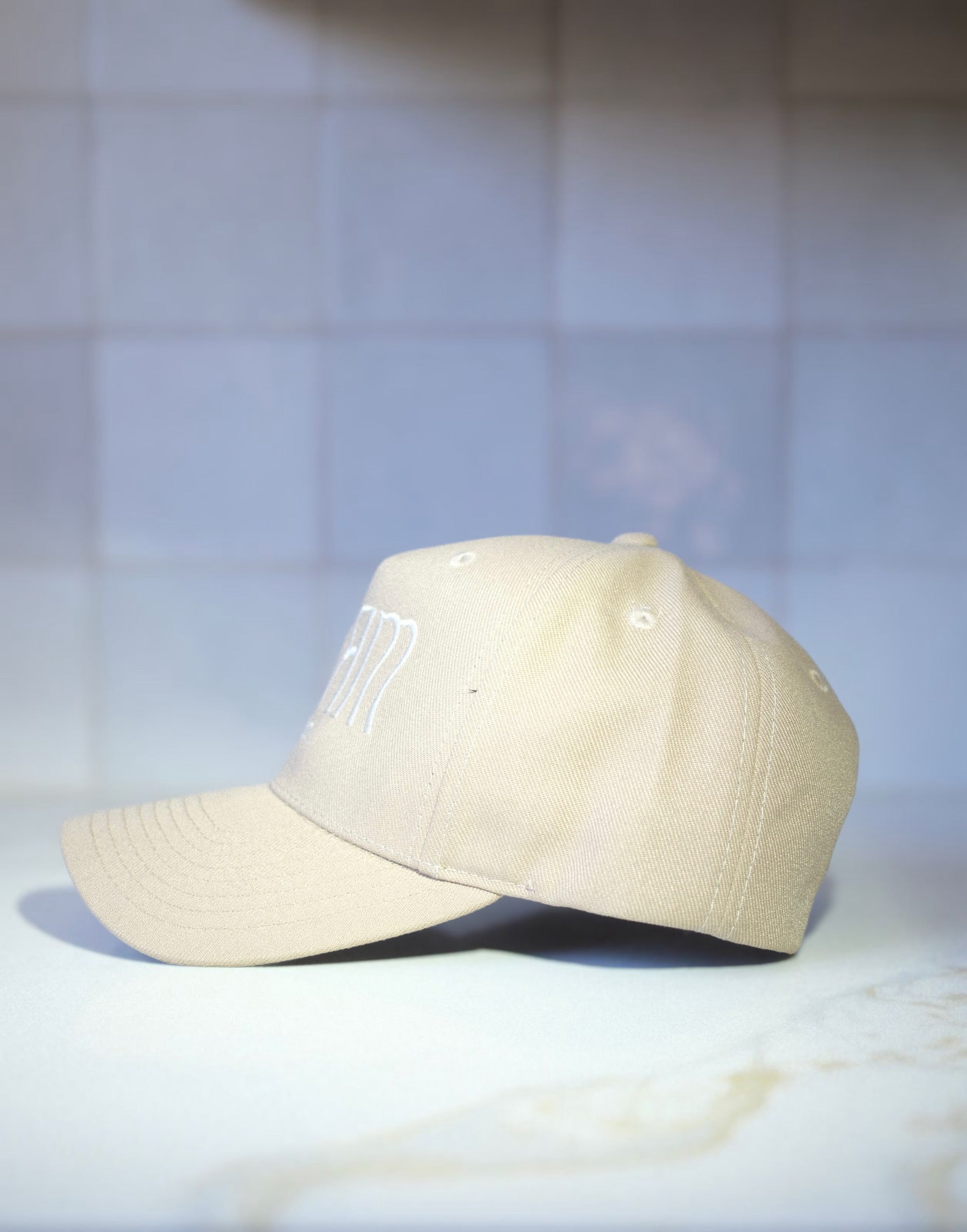 Dream Labs cap