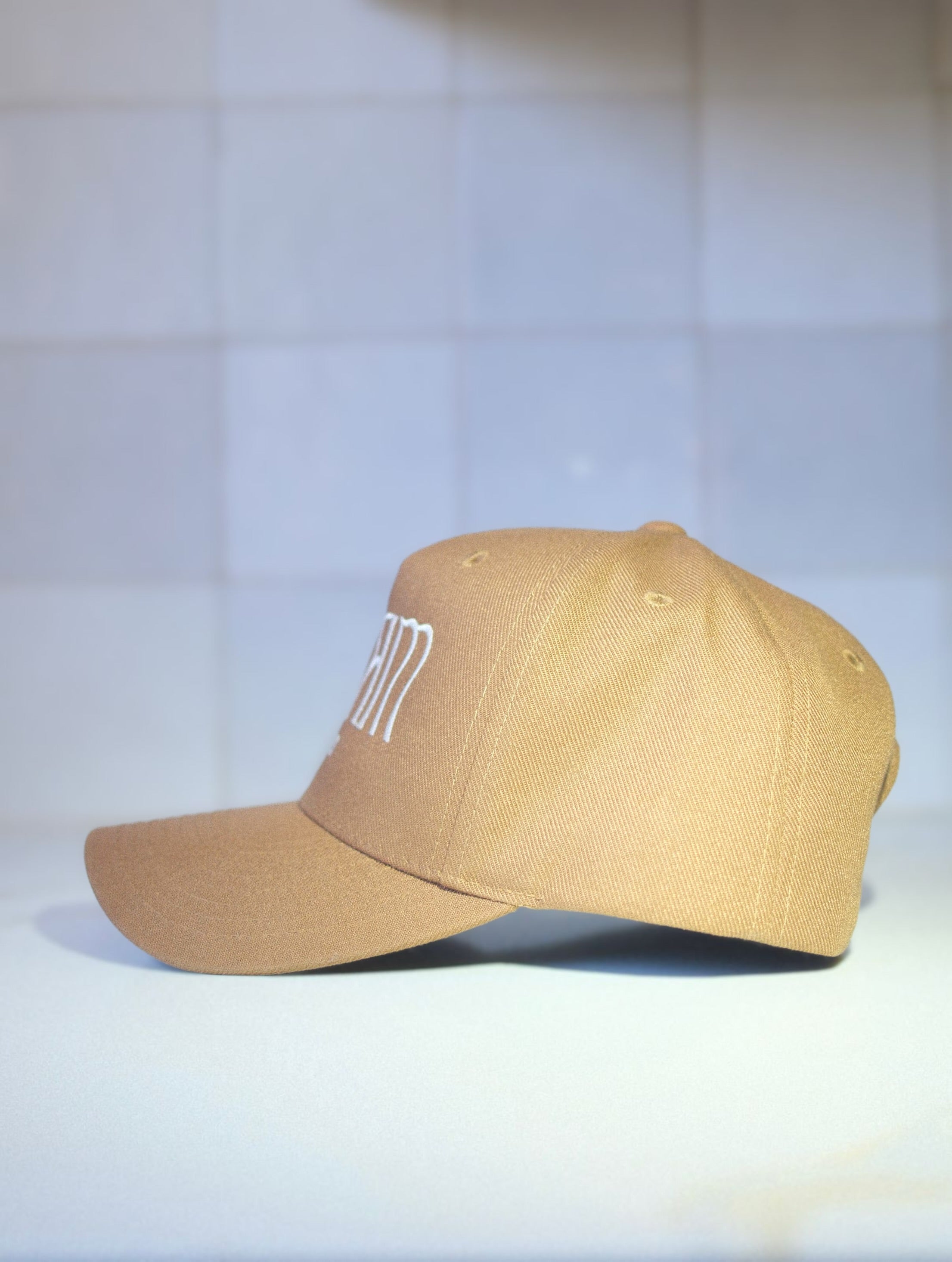 Dream Labs cap